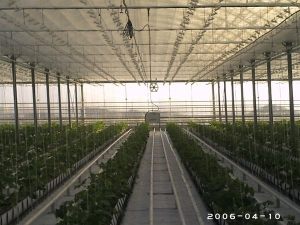 Оранжериен комплекс - гр.Попово